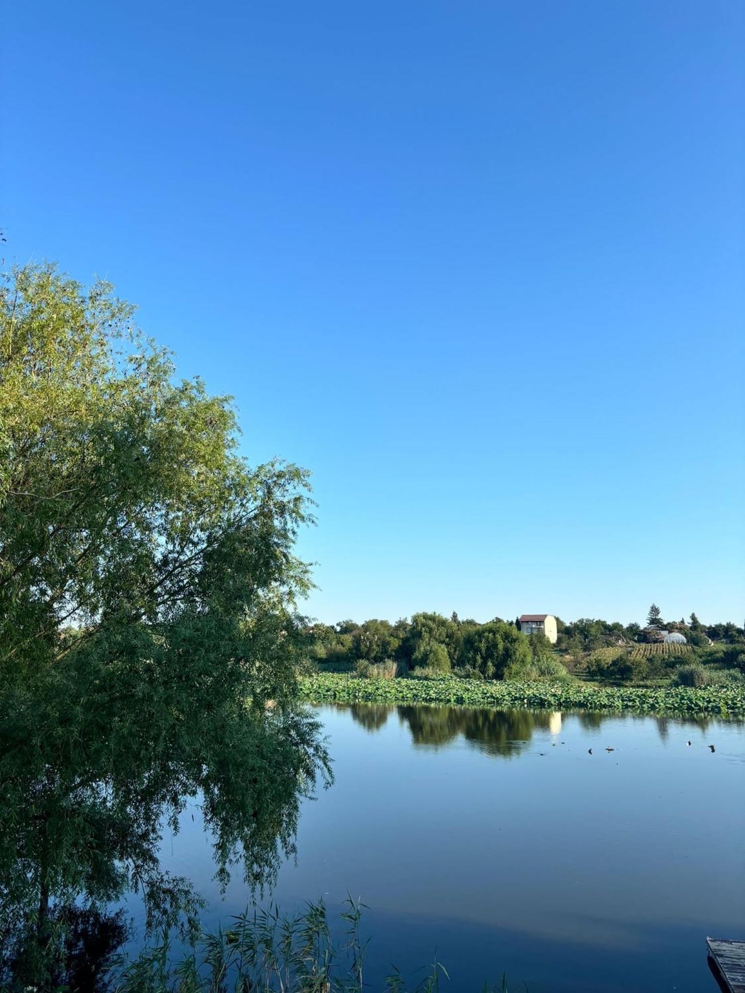 Hotel La Nuferi Lac To Therme & Aeroport Otopeni Snagov Esterno foto